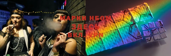 индика Беломорск