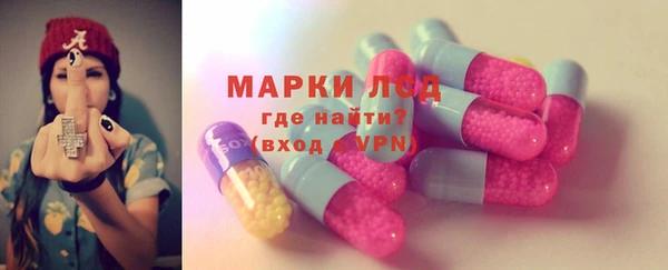 прущие грибы Богородск