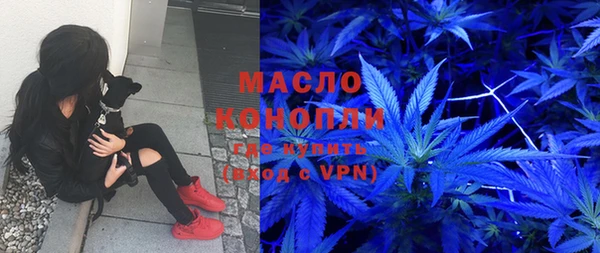 индика Беломорск
