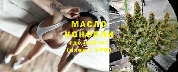 индика Беломорск