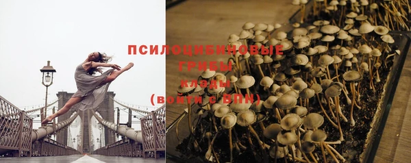 Альфа ПВП Белокуриха