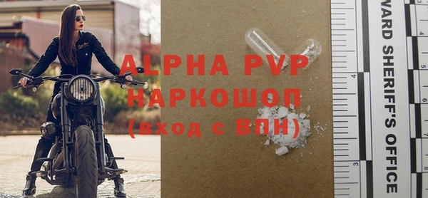 индика Беломорск