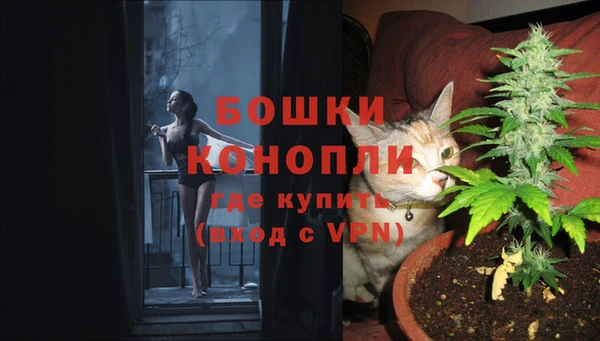 прущие грибы Богородск
