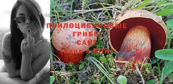 Альфа ПВП Белокуриха